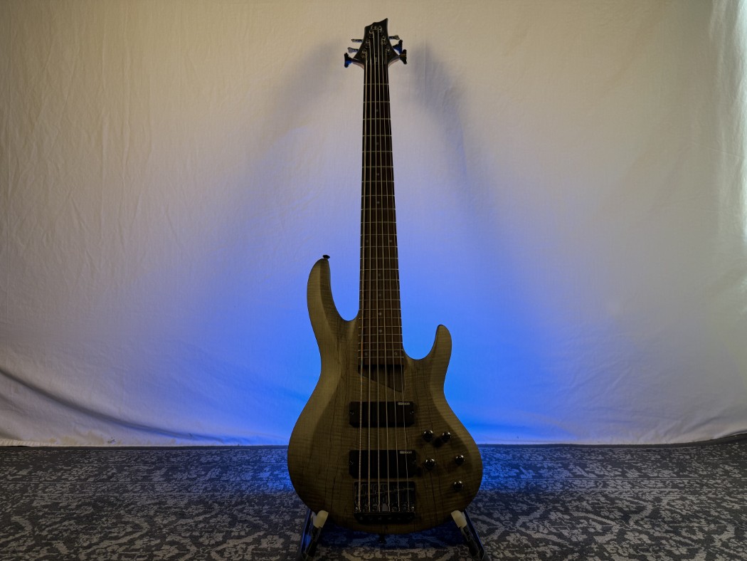 ESP/LTD EC 206 Bass - Grey Maple
